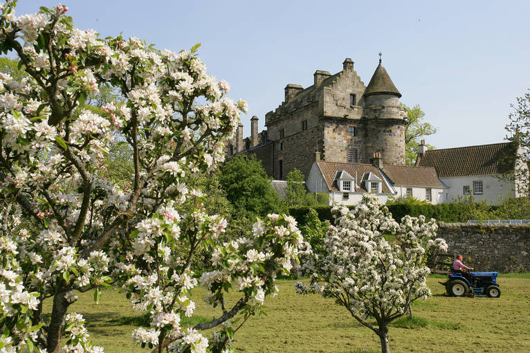 Falkland Palace orchard and castle