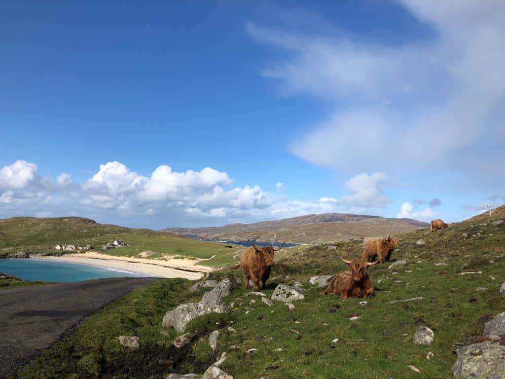 Multi-Day Tours of Scotland